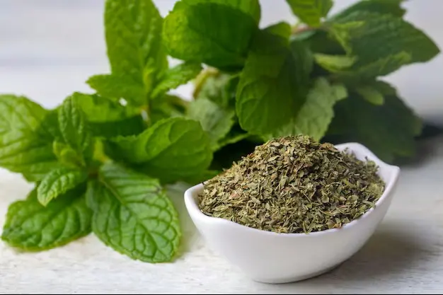 Menthe Séchée Artisanale – Mélange Menthe Fraîche & Menthe Chocolat (50g)